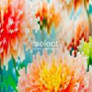 Global Underground:select #5 (Diverse Interpreten)