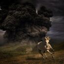 White Buffalo, The - Year Of The Dark Horse (opaque grey)