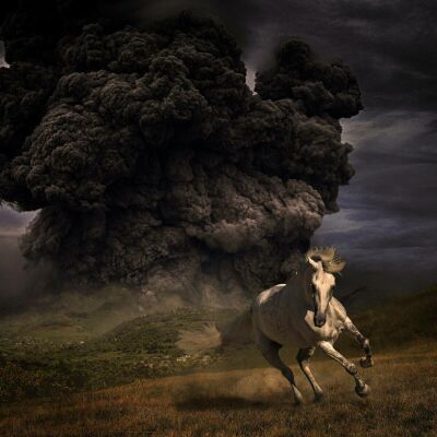 White Buffalo, The - Year Of The Dark Horse