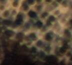 Cipa Carlos - Ourselves, as we are