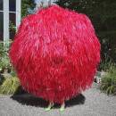 Eicher Stephan - Ode