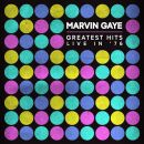 Gaye Marvin - Greatest Hits Live In 76 (CD)