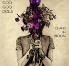 Goo Goo Dolls, The - Chaos In Bloom