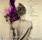 Goo Goo Dolls, The - Chaos In Bloom