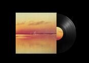Shauf Andy - Norm (black LP)
