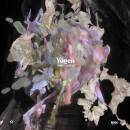 Gjerso Marius - Yugen