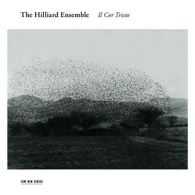 Pisano / Marsh / Arcadel - Il Cor Tristo (Hilliard Ensemble, The)