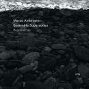 Ambrosini Marco / Ensemble Supersonus - Resonances