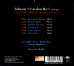 Bach,J.s: Cantatas,Motets & Organ Music (Various)