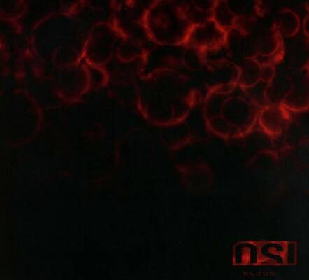 Osi - Blood (Re-Issue & Bonus)
