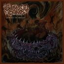 Bastard Grave - Vortex Of Disgust