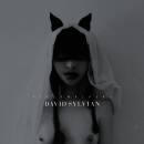 Sylvian David - Sleepwalkers (Remastered 180g Poster Gf.)