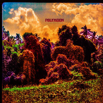 Polymoon - Chrysalis (Ltd. Col. LP)