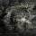 Austere - Corrosion Of Hearts (Grey/Black Marble Vinyl)