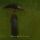Sol Invictus - In The Rain (Light Green Transparent)