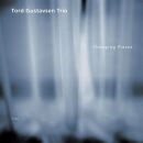 Gustavsen Tord - Changing Places