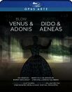 Blow John / Purcell Henry - Venus & Adonis: Dido & Aeneas (Confidencen Opera & Music Festival Orchestra / Blu-ray)