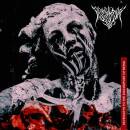 Predatory Void - Seven Keys to the Discomfort of Being...