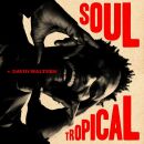 Walters David - Soul Tropical