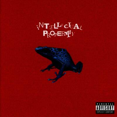 Waterparks - INTELLECTUAL PROPERTY