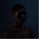 Manchester Orchestra - The Valley Of Vision (Transparent...