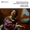 Albinoni Tomaso / u.a. - Musik ist der beste Trost...