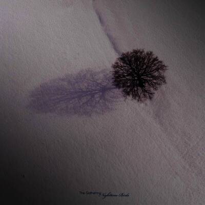 Gathering, The - Nighttime Birds (Black Vinyl)