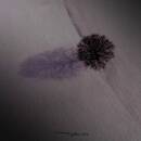 Gathering, The - Nighttime Birds (Black Vinyl)