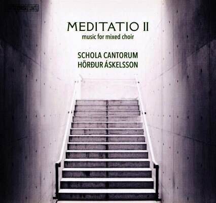 Thorsteinsson / Gjeilo / Thorarensen / Mealor- ua - Meditatio II (Schola Cantorum Reykjavicensis)