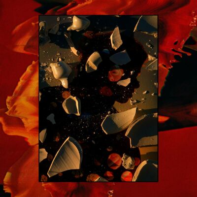 Hand Habits - SUGAR THE BRUISE