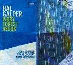 Galper Hal / John Scofield - IVory Forest Redux