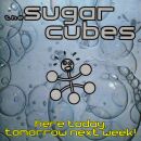 Sugarcubes - Here Today,Tomorrow Next Week!