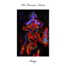 Dexys - Feminine Divine, The ( CD)