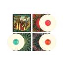 King Gizzard & the Lizard Wizard - live in asheville...