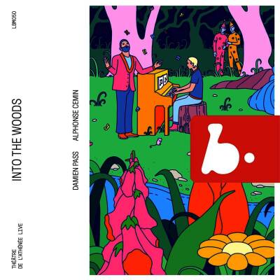 Schubert Franz / u.a. - Into the Woods (Pass Damien / Cemin Alphonse)