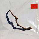 Harvey P.J. - I Inside The Old Year Dying