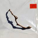 Harvey P.J. - I Inside The Old Year Dying