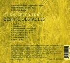 Chris Speed Trio - Despite Obstacles