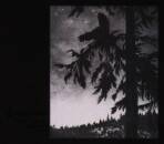 Empyrium - Where At Night The Wood Grouse Plays (White...