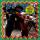 Yebo! Rare Mzansi Party Beats From Apartheids Dyi (Various)