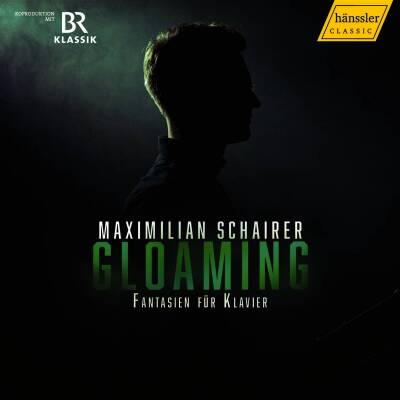 Schubert Franz / u.a. - Gloaming (Schairer Maximilian)