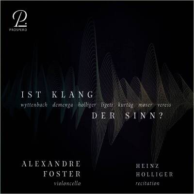 Wyttenbach Jürg / u.a. - Ist Klang der Sinn? (Foster Alexandre)