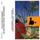Schumann Clara & Robert / u.a. - Violin Works...