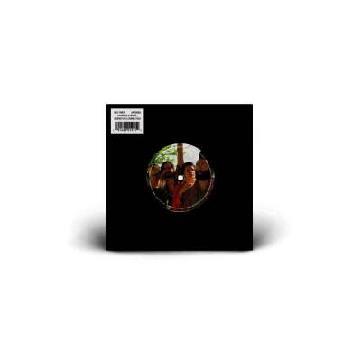 Big Thief - Vampire Empire/Born For Loving You
