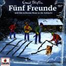 Fünf Freunde - Folge 157: und das seltsame Haus in...