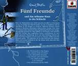 Fünf Freunde - Folge 157: und das seltsame Haus in der Schlucht