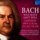 Bach Johann Sebastian - Cantatas BWV 5, 33, 94, 111, 113,...