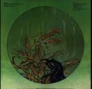 Grateful Dead - Wake Of The Flood ((40th Wake Of The Flood (50Th Anniversary Remaster / Pictu / Picture Disc)