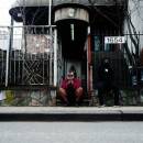 Hammer Armand - WE BUY DIABETIC TEST STRIPS