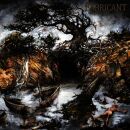 Fabricant - Drudge To The Thicket